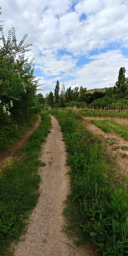 Apartamento Entrevinas En El Corazon De La Rioja Fuenmayor Εξωτερικό φωτογραφία