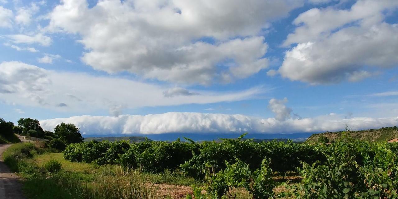 Apartamento Entrevinas En El Corazon De La Rioja Fuenmayor Εξωτερικό φωτογραφία